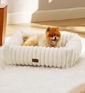 Cat House Bed for Indoor Cats with Fluffy Ball and Scratch Pad — collection imagery