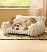 Cat House Bed for Indoor Cats with Fluffy Ball and Scratch Pad — collection imagery