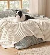 Cat House Bed for Indoor Cats with Fluffy Ball and Scratch Pad — collection imagery