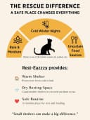 Outdoor Cat House for Feral Cats