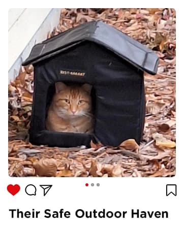 Outdoor Cat House for Feral Cats — collection imagery