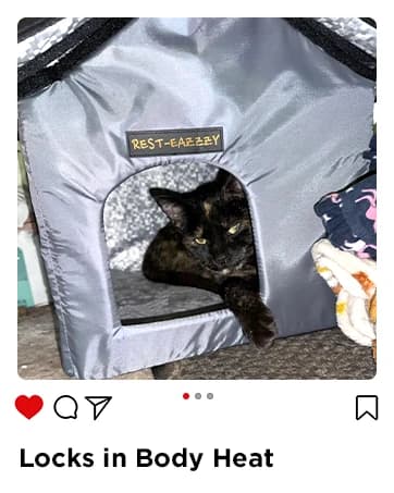 Outdoor Cat House for Feral Cats — collection imagery