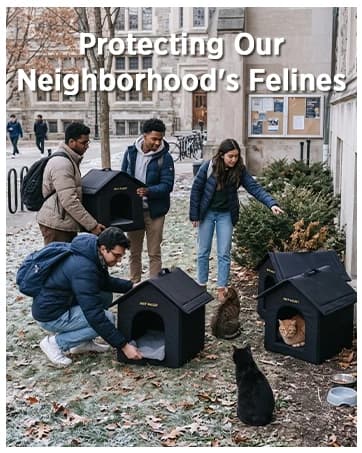 Outdoor Cat House for Feral Cats — collection imagery
