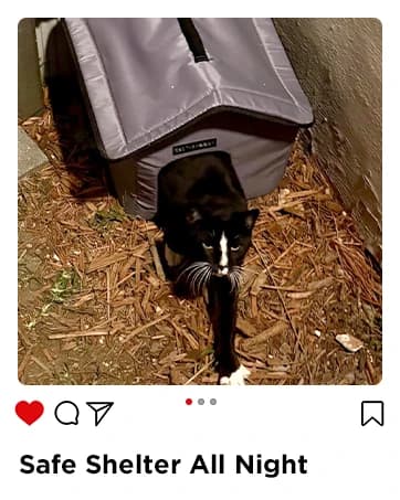 Outdoor Cat House for Feral Cats — collection imagery