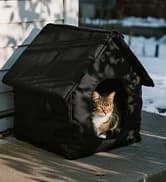 Outdoor Cat House for Feral Cats — collection imagery