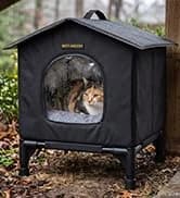Outdoor Cat House for Feral Cats — collection imagery