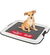 Dog Food Storage Container — Up to 30 lbs — collection imagery