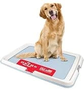 Dog Food Storage Container — Up to 30 lbs — collection imagery