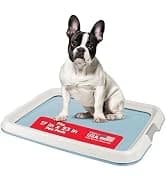 Dog Food Storage Container — Up to 30 lbs — collection imagery