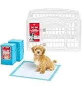 Dog Food Storage Container — Up to 30 lbs — collection imagery