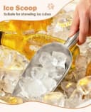 Stainless Steel Dog Food Scoop 1 Cup