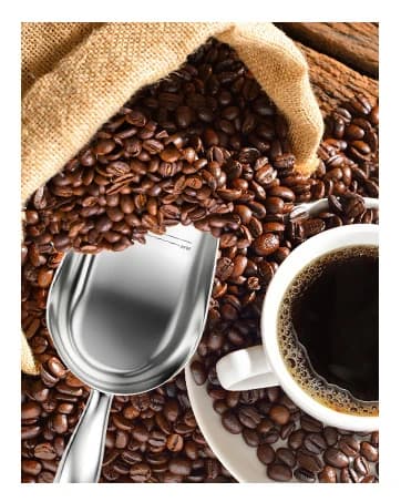 Stainless Steel Dog Food Scoop 1 Cup — collection imagery