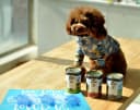 Pet Food Can Lids — Silicone Stretch Can Lids Covers for Dog and Cat Food