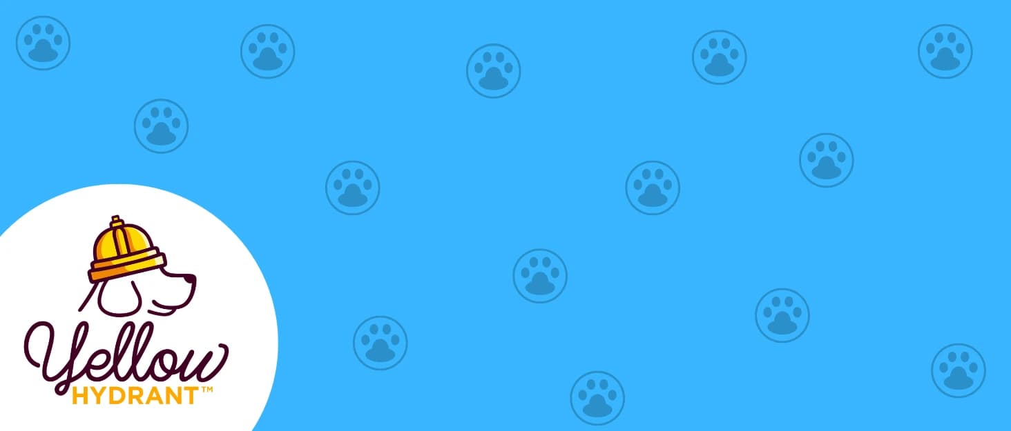 The Original Canned Dog Food Storage Container Patent Pending Reusable Airtight Can Cover Pet Food Sealer — collection imagery