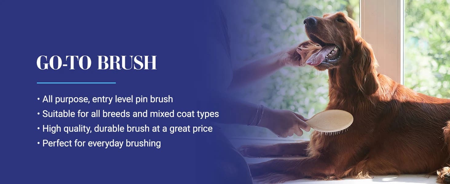 Dog Brush — 27 mm Oval Pin Brush — product details