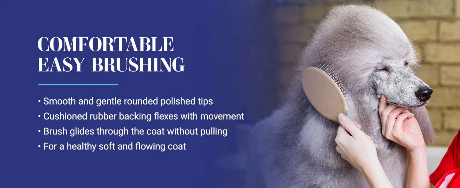 Dog Brush — 27 mm Oval Pin Brush — product details