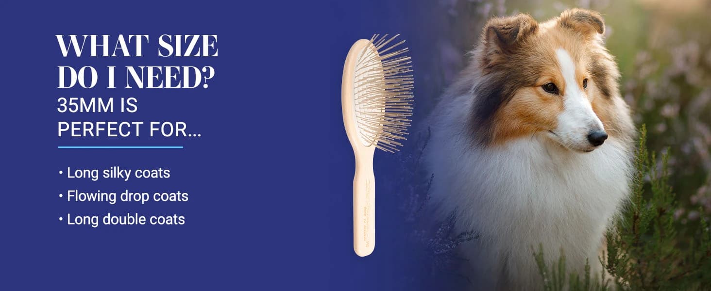 Dog Brush — 27 mm Oval Pin Brush — product details