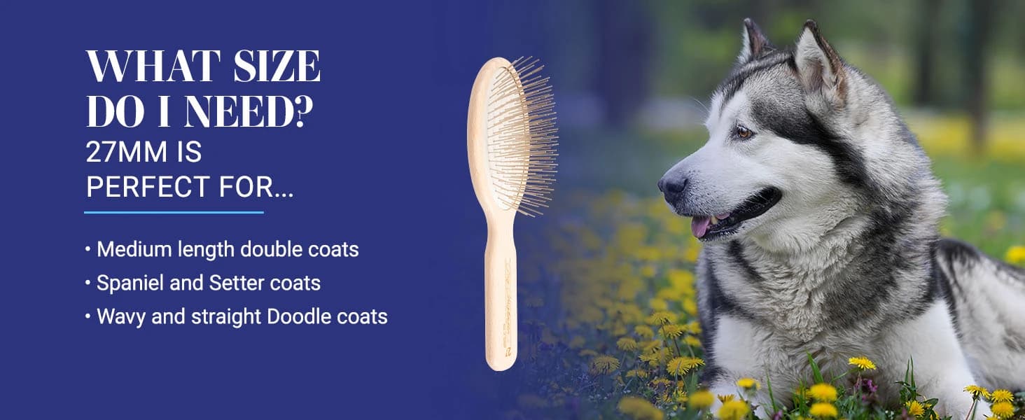 Dog Brush — 27 mm Oval Pin Brush — product details