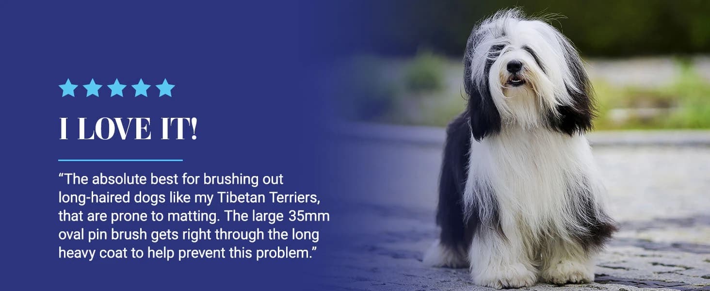 Dog Brush — 27 mm Oval Pin Brush — product details