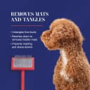 Big G Dog Slicker Brush for Dogs (Goldendoodles