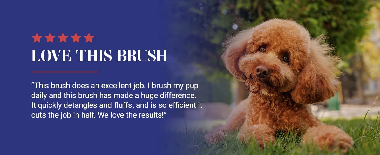 Big G Dog Slicker Brush for Dogs (Goldendoodles — product details