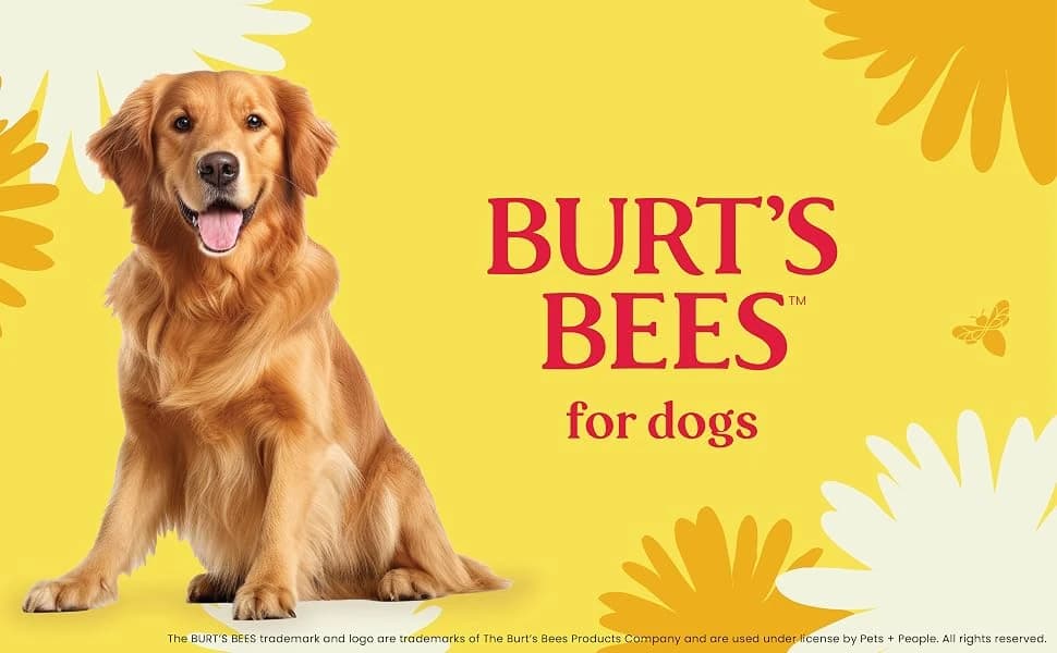 Double-Sided Pin and Hemp Bristle Dog Brush — product details