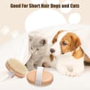 Soft Boar Bristle Pet Palm Brush for Short Haired Dogs and Cats with Band — Reduce Shedding