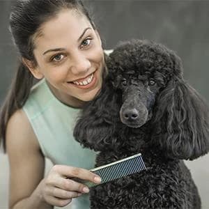 2 Pack Dog Combs with Rounded Ends Stainless Steel Teeth — collection imagery