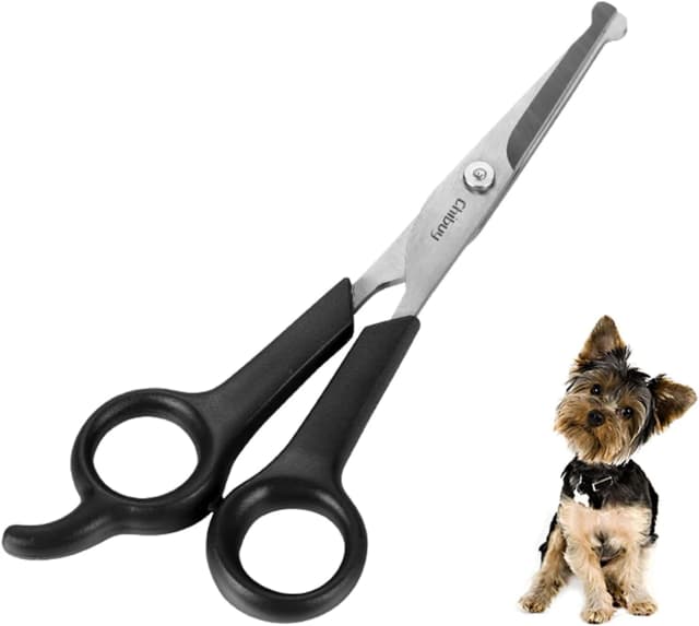 Chibuy Professional Pet Grooming Scissors with Round Tip Stainless Steel Dog Eye Cutter for Dogs and Cats