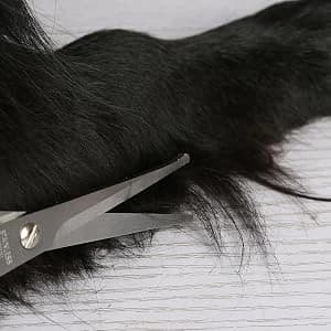 Chibuy Professional Pet Grooming Scissors with Round Tip Stainless Steel Dog Eye Cutter for Dogs and Cats — collection imagery