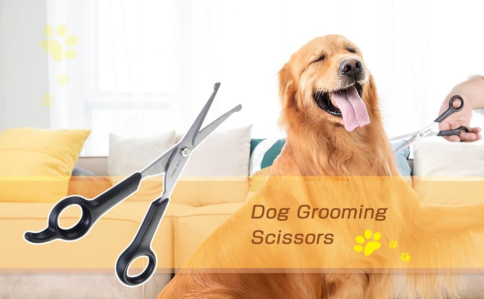 Chibuy Professional Pet Grooming Scissors with Round Tip Stainless Steel Dog Eye Cutter for Dogs and Cats — product details