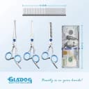 Professional 5 in 1 Dog Grooming Scissors Set with Safety Round Tips