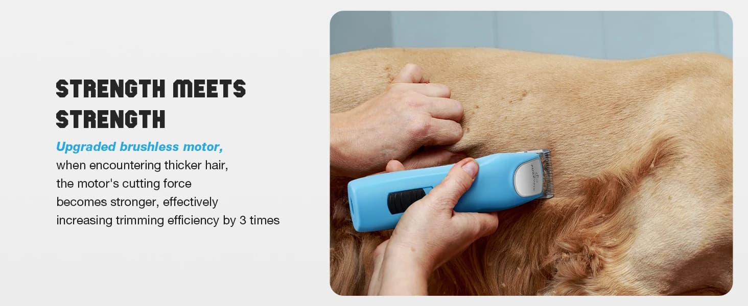 Professional Dog Clippers for Grooming Thick Curly Matted Coats — product details