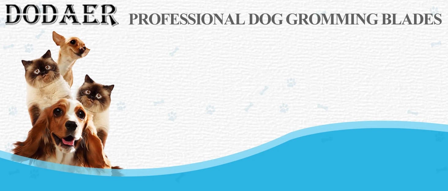 10# Grooming Ceramic Pet Clipper Blades Compatible with Andis and Oster A5 — collection imagery