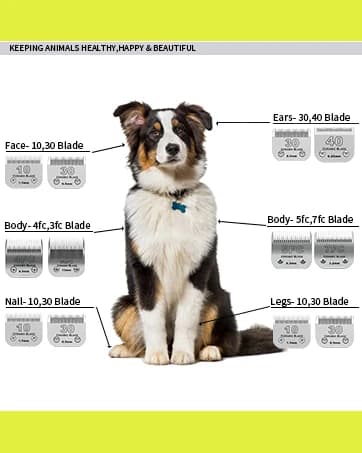 10# Grooming Ceramic Pet Clipper Blades Compatible with Andis and Oster A5 — collection imagery