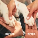 PawControl 7760-PET Dog Nail Grinder and Trimmer — Pet Grooming Kit