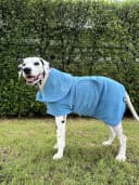 Fast Drying Dog Bath Robe | 800 GSM Plush Dog Towel Bathrobe/Dressing Gown | Super Absorbent Pet/Puppy Bathrobe
