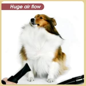Groomer Partner Pet Hair Force Dryer Dog Grooming Blower with Heater — collection imagery