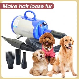 Groomer Partner Pet Hair Force Dryer Dog Grooming Blower with Heater — collection imagery