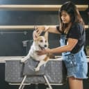 Foldable and Portable Dog Bathtub for Small & Medium Dogs