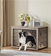 32 Inch Sturdy Dog Grooming Table for Home — collection imagery