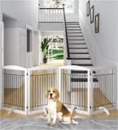 32 Inch Sturdy Dog Grooming Table for Home — collection imagery