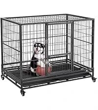 32 Inch Sturdy Dog Grooming Table for Home — collection imagery