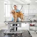 43.3 in Hydraulic Pet Grooming Table — Professional Hydraulic Grooming Table w/Max 350 LBS Loading Capacity