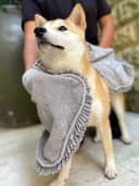 Quick Dry Towel for Dogs | Ultra Absorbent Microfiber Shammy | Extra Large 35x15 Size Dog Bath Towel |