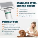2-in-1 Dog Hair Dryer with Brush for Small Dogs and Cats