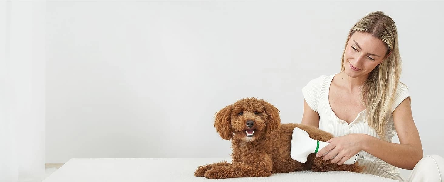 2-in-1 Dog Hair Dryer with Brush for Small Dogs and Cats — collection imagery