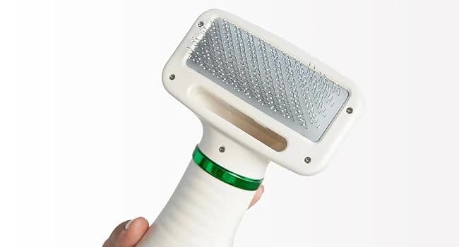 2-in-1 Dog Hair Dryer with Brush for Small Dogs and Cats — Is 's Pet Hair Dryer Suited to My Pet?