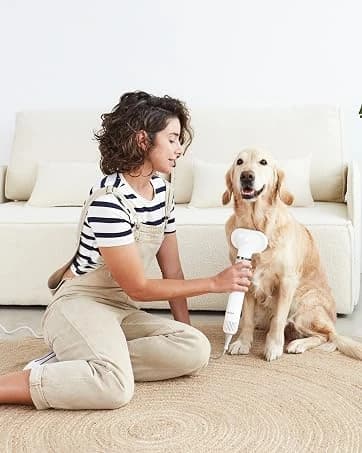2-in-1 Dog Hair Dryer with Brush for Small Dogs and Cats — collection imagery