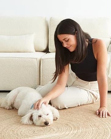 2-in-1 Dog Hair Dryer with Brush for Small Dogs and Cats — collection imagery